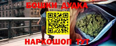 соль ск Новодвинск