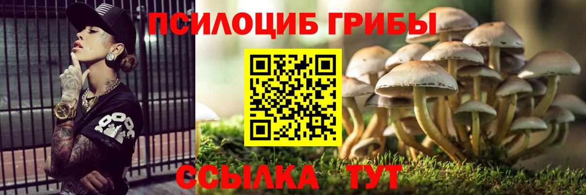 Псилоцибиновые грибы MAGIC MUSHROOMS  Вход с VPN  Рыбинск 